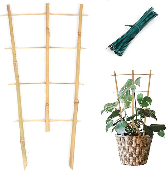Cambaverd Plant Trellis Indoor 6 Pack Bamboo Trellis with Twist Ties, 16in Fan-Shaped Plant Trellises for Potted Plants Hoya Vines Monstera Houseplants