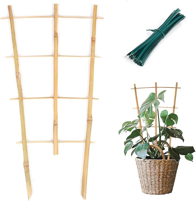 Cambaverd Plant Trellis Indoor, 3 Pack Bamboo Trellises, 16in Fan-Shaped Trellis for Potted Plants Climbing Plants Hoya Vine Ivy