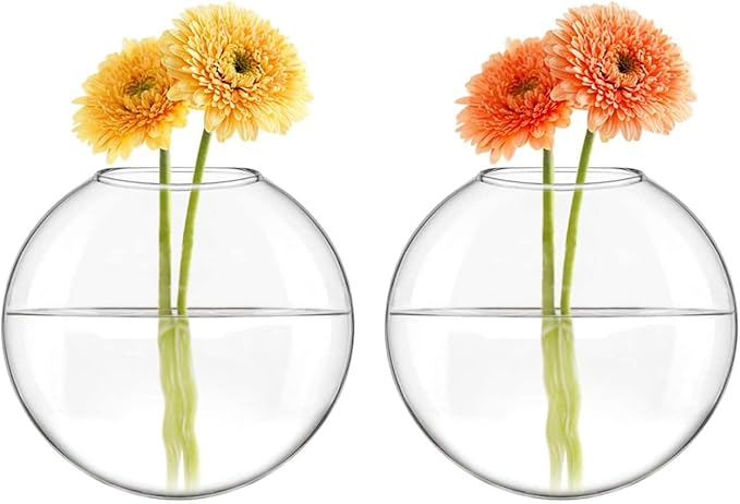 Mkono Wall Hanging Glass Terrariums Planter Oblate Flower Vase for Hydroponics Plants, Bathroom, Home Office Living Room Decor, Set of 6(Plants not Included)