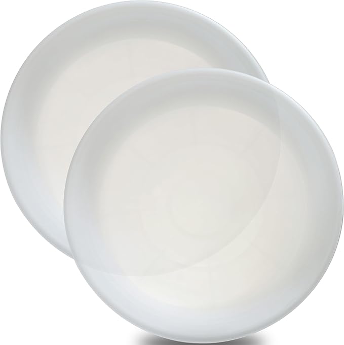 2 Pack of 19 inch Clear Plant Saucer, Large Plant Tray, Heavy Sturdy Plant Drainage Tray for Indoors, Bird Bath Bowls, Sturdy 18 inch Plastic Pot Tray for Planter