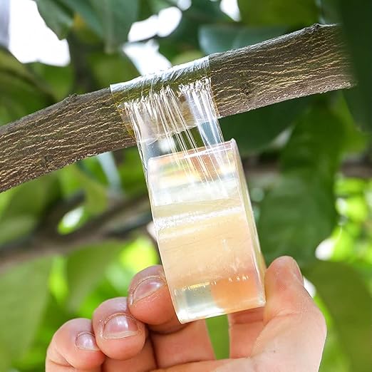 Pengxiaomei Grafting Tape,4Pcs Grafting Tape for Fruit Trees,Stretchable Garden Parafilm Tape,Grafting Tool for Fruit Trees,Plants Repair Budding Tape
