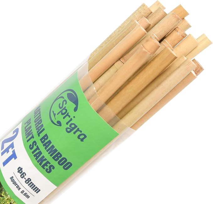 Bamboo Stakes 2FT 35pcs, 24 inch Garden Stakes Multi-Purpose, Bamboo Plant Support Stakes for Beans, Peppers, Flowers, Potted, Maintain the Plant Posture, Strengthen and Stem