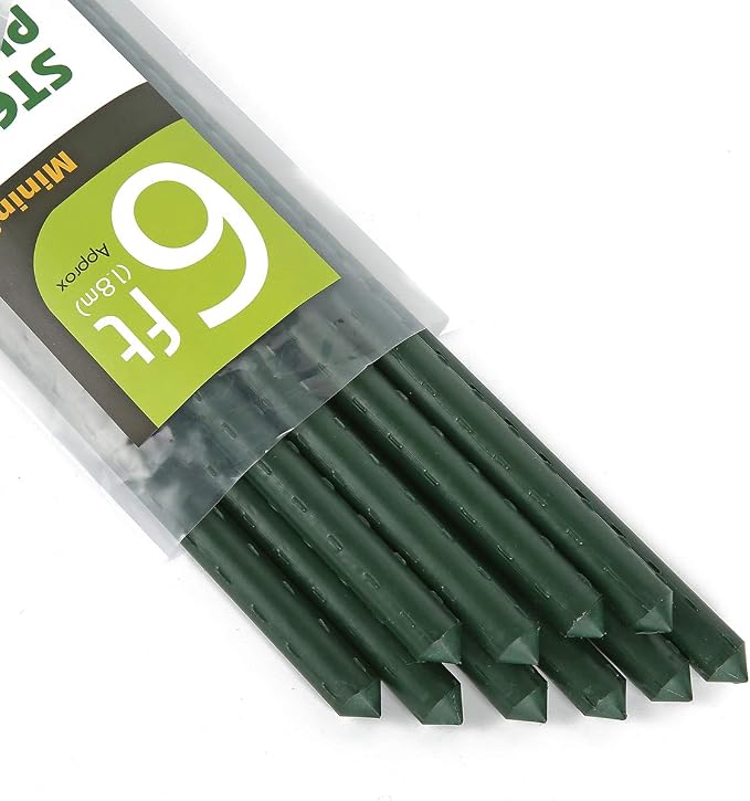 Mininfa Steel Plant Stakes 6 Feet, Plastic Coated Metal Garden Stakes Supports Climbing for Tomatoes, Trees, Beans, 10 Pack
