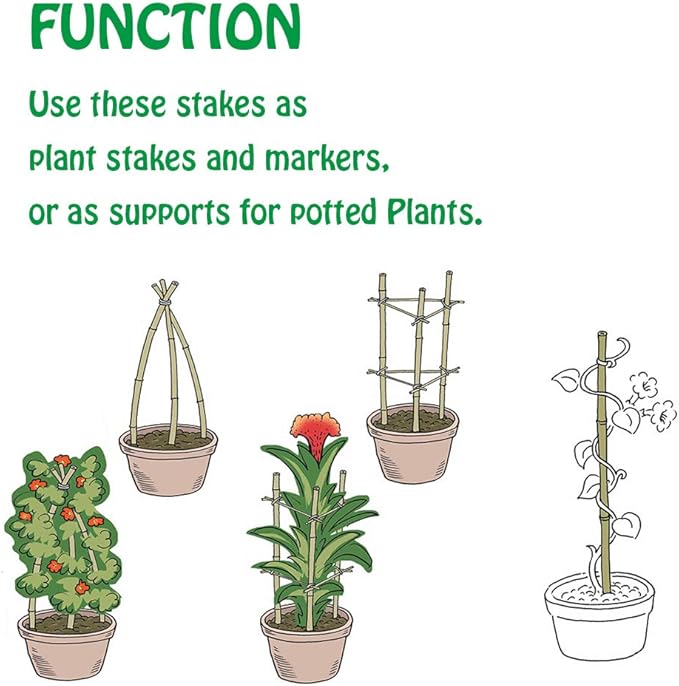 Mininfa Natural Bamboo Stakes 2 Feet, Eco-Friendly Garden Stakes, Plant Stakes Supports Climbing for Tomatoes, Trees, Beans, 30 Pack