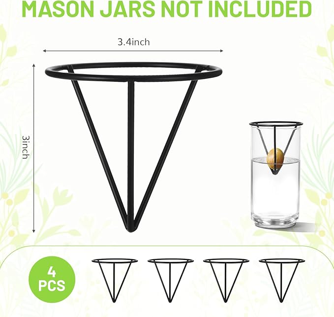4Pcs Avocado Seed Starter vase Holders That can be Used as Propagation Kits for Plant Propagation vases, not only for Avocados but Also for Other Similar Plants (Carrots, Sweet Potatoes, etc)
