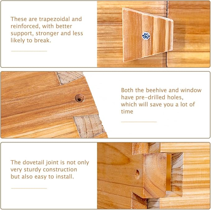 BeeCastle 10-Frame Langstroth Beehive with Windows, Beeswaxed Coated Bee Hive for Beginners with Beehive Frames and Waxed Foundations (2 Deep Bee Boxes & 1 Medium Super Bee Box)