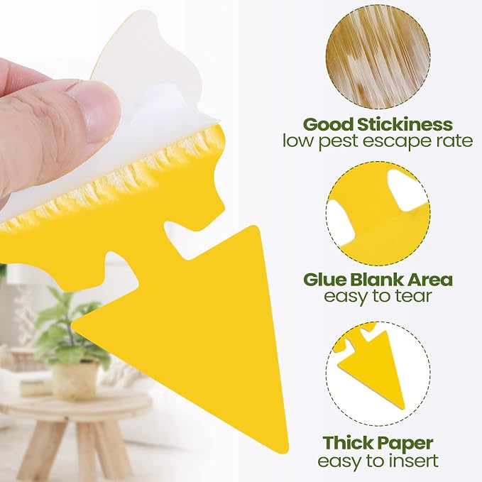 Qualirey 50 Sheets Fruit Fly Sticky Traps for Fruit Fly Gnat Trap for House Indoors Sticky Traps Catcher for Gnats Fungus Gnats Mosquito Catcher Kitchen Outdoor Plants(Classic Style, Yellow Color)