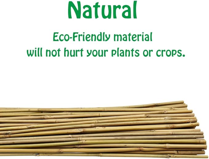Mininfa Natural Bamboo Stakes 2 Feet, Eco-Friendly Garden Stakes, Plant Stakes Supports Climbing for Tomatoes, Trees, Beans, 30 Pack