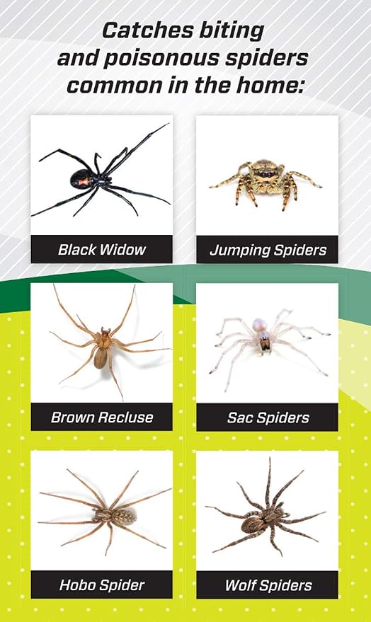 RESCUE! Spider Traps – Catches Brown Recluse, Hobo Spiders, Black Widows & Wolf Spiders - 2 Pack (6 Traps)