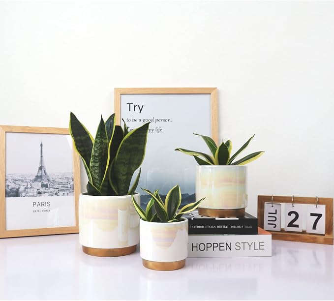 Gepege White Indoor Pots for Plants, Ceramic Planter with Drainage Hole, 6.0 inch+5.0 Inch+4.0 Inch. Succulent Orchid Flower Pot - Rainbow Pearl Glaze