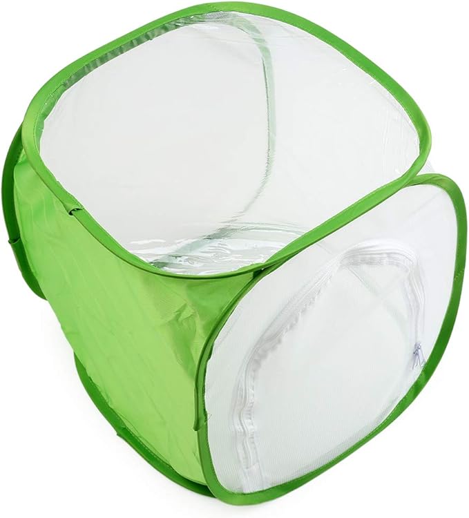 Insect and Butterfly Habitat Cage Terrarium Pop-up 12 X 12 X 12 Inches, Polyester Bottom for Easier Clean