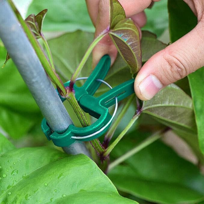 Plant Clips Garden Clips for Supporting Plants, Flowers and Vines, Gentle Durable Plant Support Clips Set (48 Small)