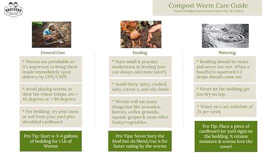 100 Count Red Wiggler Compost Worm Blend. Worms for Composting and Making Worm Castings at Home. Best Worm Species for Worm Composters, Gardens, and Worm Bins.