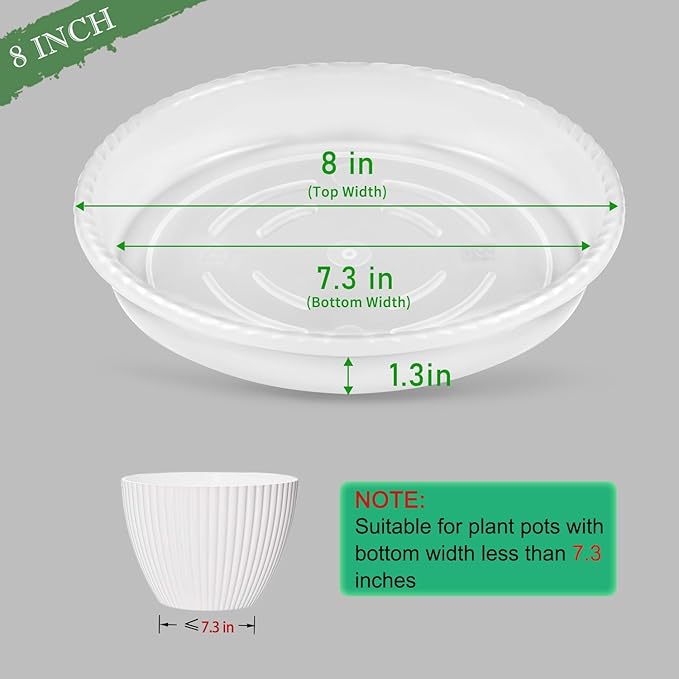 SupKing 6 Pack Plant Saucers Drip Tray,6 8 10 12 14 15 Inch Heavy Sturdy Plastic Flower Pot Saucers for Indoor,Clear Plastic Planter Water Tray for Plant Pots Liners (8''-Clear)