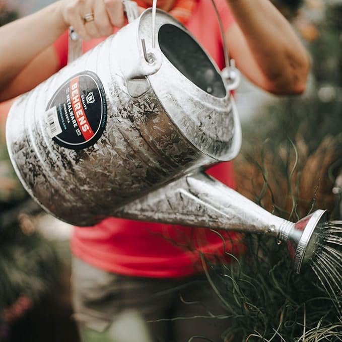 Behrens 2 Gallon Hot Dipped Steel Watering Can