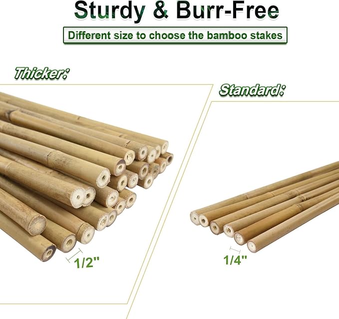Jollybower 30pcs 3/10" D Thicker Heavy Duty Bamboo Stakes, 2FT Plant Stakes, Natural Garden Stakes for Tomato, Bean, Flowers,Trees Potted and Climbing Plant Support