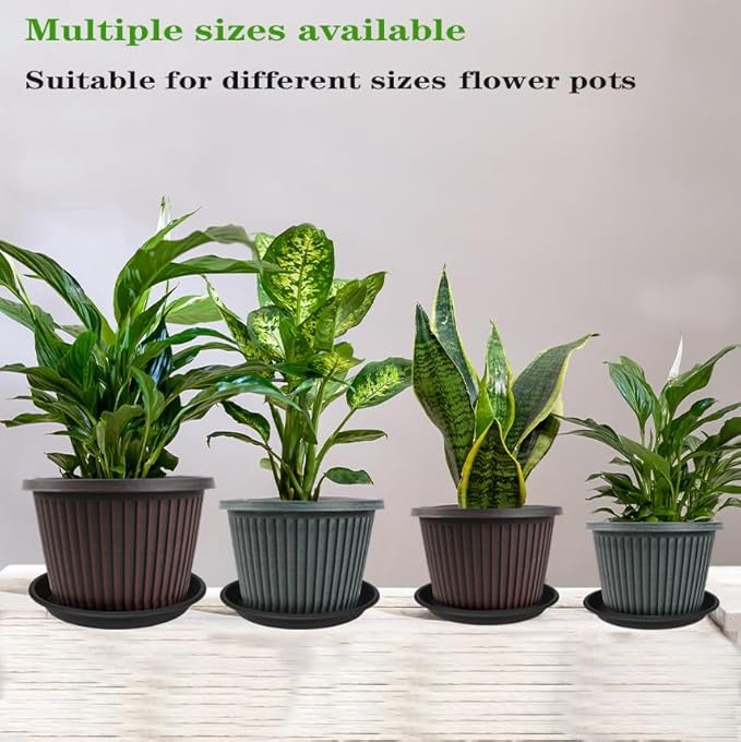 6 Pack Plant Saucer 8 inch, Heavy Duty Plastic Plant Water Tray, Planter Saucers, Flower Pot Tray, Planter Tray, Bird Bath Bowls, Water Trays for Plant Pots 7"/8" (Black)