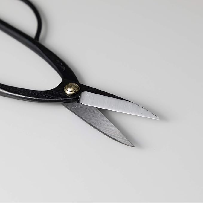 Wazakura Ashinaga Bonsai Pruning Scissors 8inch (200mm) MADE IN JAPAN, Long Handle Bonsai Cutter in Carbon Steel, Rose Pruning Shears, Flower Scissors, Japanese Gardening Tools