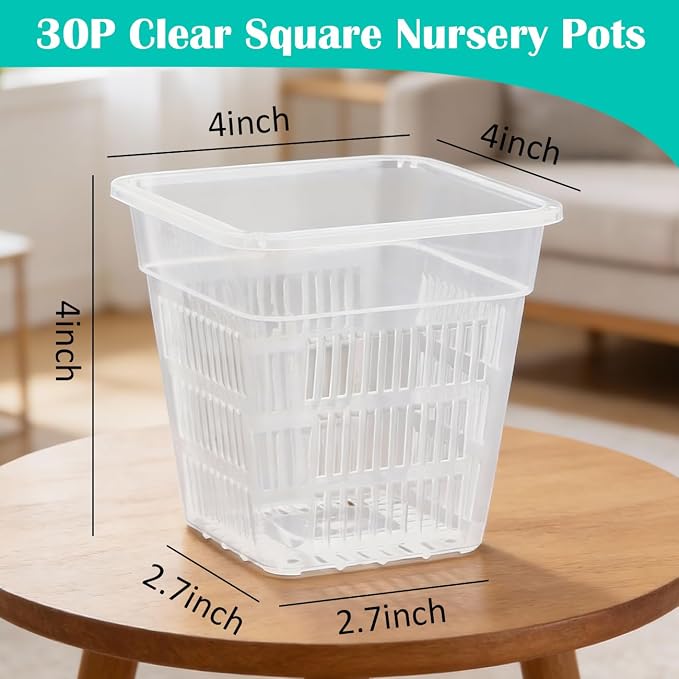 BTPLASTIK Clear Square Nursery Pots, 30 Packs 4 Inch Clear Hydroponics Growing Square Pots, Transparent Plastic Plant Pots for Seed Starting, Root Cutting