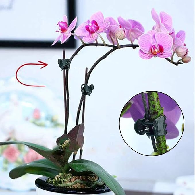 Plants Orchid Support Clips Plant Clips Orchid Clips Flower Vine Clips for Supporting Stems Vines Stalks Climbing Plant Grow Upright 50PCS