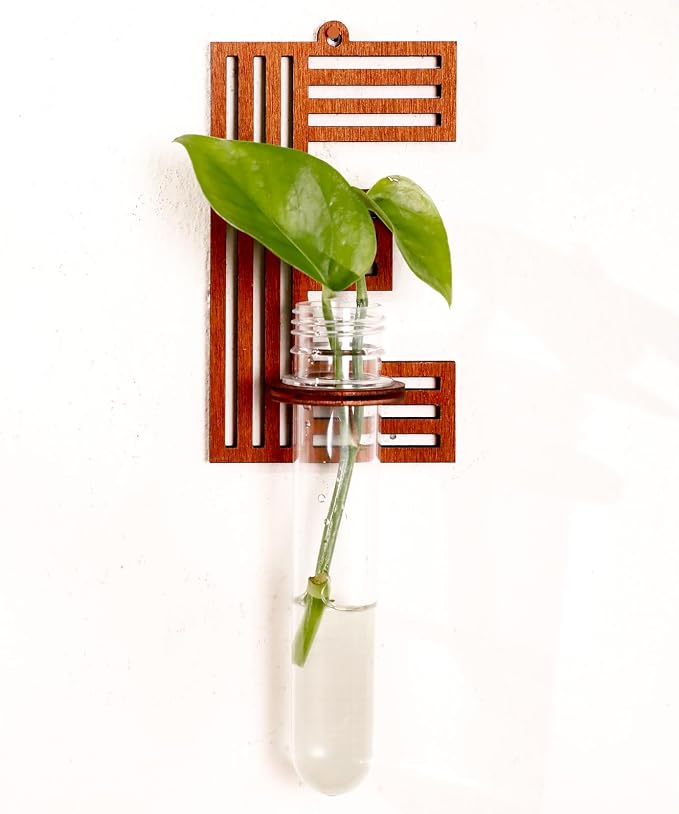 Wood Letter E Wall Propagation Station Lightweight Decorative Plant Holder for Small Cuttings, Removable Adhesive Wall Decor for Bedroom, Nursery, Office