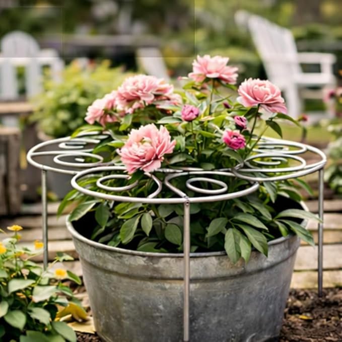 Metal Plant Support Ring for Garden, Peony Cage Stand, Indoor Pots, Flower Hoop, Decorative Grow Through Rings, Stackable Houseplant Stake, Dahlia Cage, Outdoor Orchid Clip(1PC,Large)