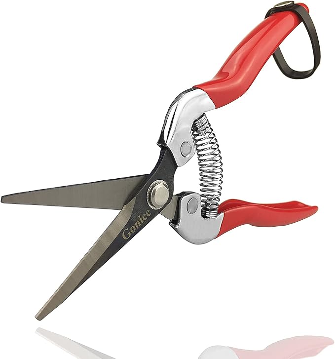 gonicc 8" Professional Premium Titanium Bypass Pruning Shears (GPPS-1003), Hand Pruners, Garden Clippers, Bonsai Cutters (Red Micro-Tip Pruning Snip)