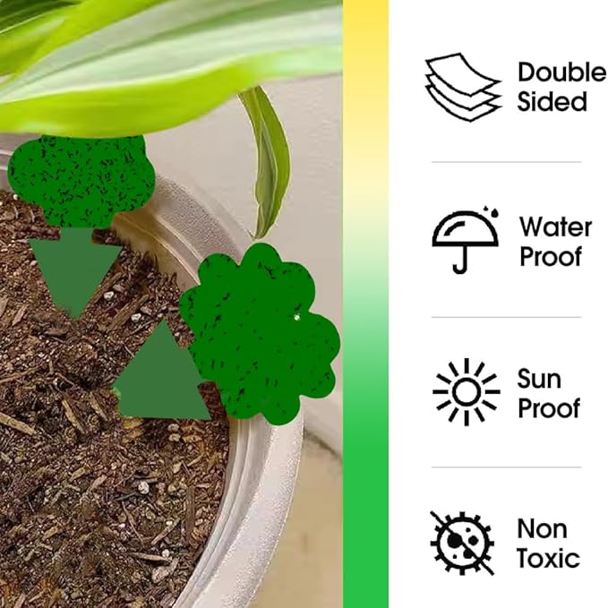 58 Pack Gnat Killer Sticky Traps for Plants - Green Fungus Gnat Sticky Trap for Indoor Houseplants, Fruit Flies, Whiteflies, Aphids - Family Friendly Design, Flower and Cloud Shapes