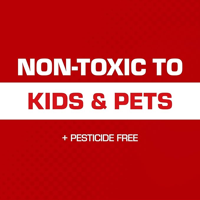 Tomcat Glue Traps Mouse Size with Eugenol for Enhanced Stickiness - Sticky Pads For Mice, Cockroaches, and Spiders, 6 Traps