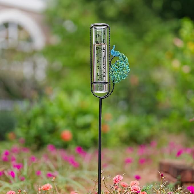 Stargarden Rain Gauge, Outdoor Peacock Rain Gauge, 7 Inch Tube Rain Measure Tool for Yard, Lawn, Garden Decor