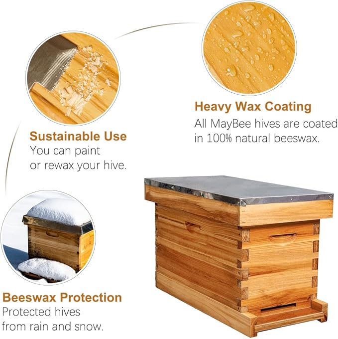 MayBee 5-Frame Nuc Beehive Box for Beekeeping Complete Bee Hive Nuc Box Kit Dipped in 100% Beeswax Includes 5 Wooden Frames & Heavy Wax Coated Foundations