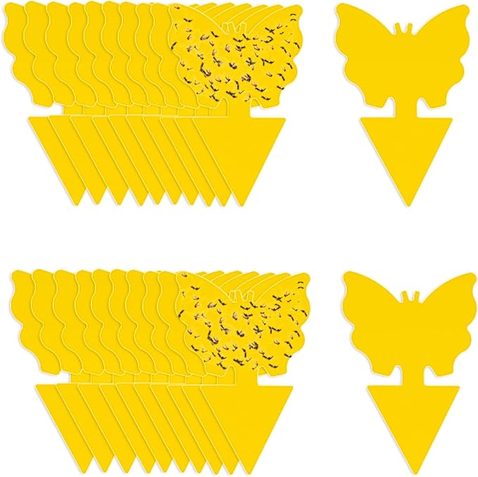 Fruit Fly Traps for Indoors -20 PCS Yellow Sticky Traps for Kitchen, Pantry & Compost-Fungus Gnat & Fruit Fly Catcher for Home, Non-Toxic, Odorless for Fruit Bowl, Garbage Can