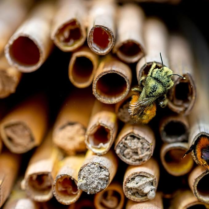 20 PCS Bee House Tubes, 7.8 Inch Cardboard Bee Nesting Tubes Beekeeping Supplies for Garden Beekeeping and Pollinator Habitat