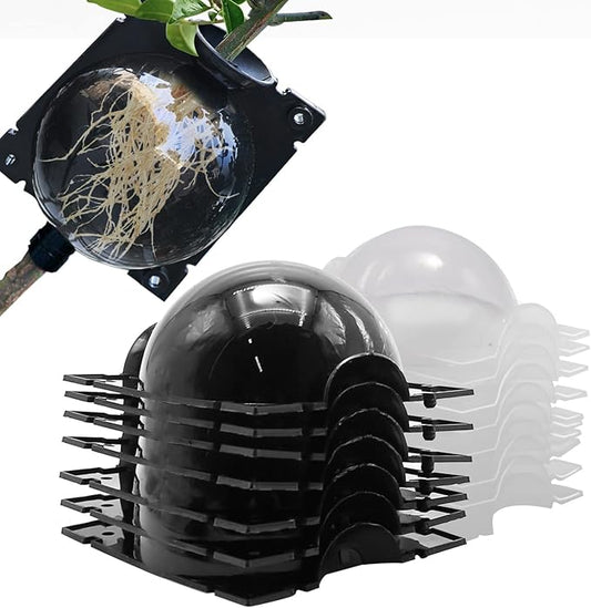 UOIENRT 10 PCS 5.51 inches Air Layering Propagation Kit, Reusable Half Transparent Grafting Ball with Zip Ties, Tree Root Growing Box Plant Rooting Grafting Box for Fast Propagation Plants (Large)