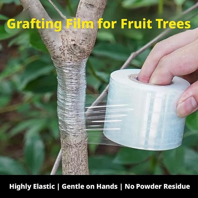 2Pcs Grafting Tape for Fruit Trees,656FT PE Stretchable Clear Floral Tape Film Self-Adhesive,Garden Plants Repair Budding Tapes for Fruit Trees, for Fruits, Floral and Tree