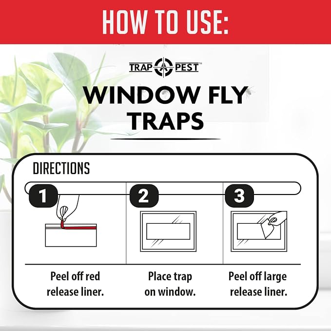 Window Fly Traps Indoor Clear (60 Pack) - Fly Window Traps for Indoors Sticky, Indoor Fly Trap Non-Toxic Fly Strips for Windows - Fly Sticky Traps Indoor Fly Paper Indoor Bug Sticky Traps (8.25" x 5")
