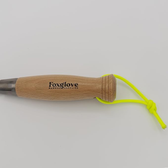 Foxglove Premium Stainless Steel Hand Cultivator - Heavy Duty Garden Tool with Beechwood Handle - Durable Metal Garden Rake, Weeder & Digging Fork - Essential Hand Tiller for Soil & Garden Care