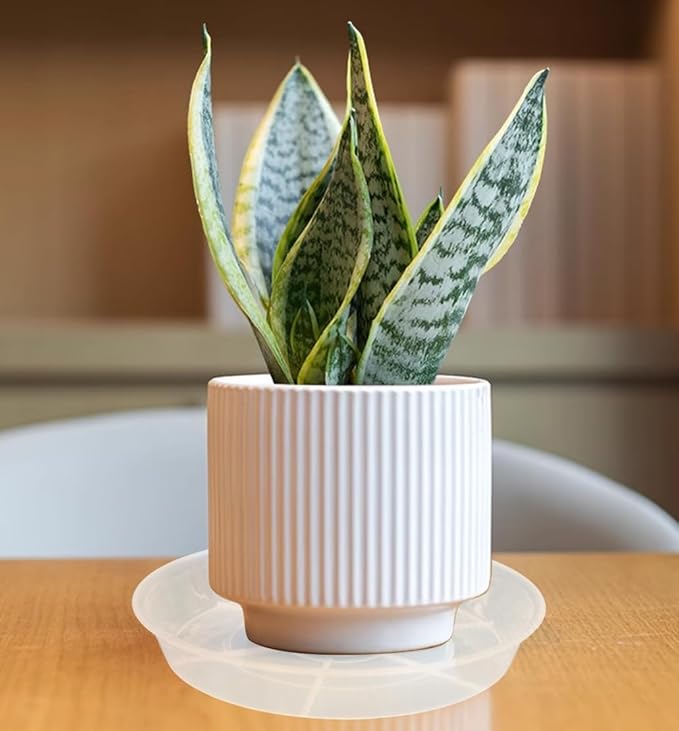 VUWEZ 6 Pack of 20 inch Plant Saucer (18 Inch Base), Plant Tray 20 Inch Round, Plant Saucers for Indoors, Plant Trays for Pots, Flower Pot Saucers, Pot Saucers for Planter 16-21" (20", Clear)