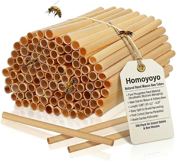 Homoyoyo Natural Reed Mason Bee Tubes, 100-Pack 5.9 Inch Bee House Refill Tubes for Mason and Solitary Colonys, 0.2-0.31 Inch Diameter Reed Nesting for Colony Hotel Garden Pollinator Habitat