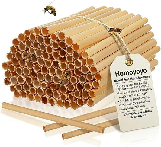 Homoyoyo Natural Reed Mason Bee Tubes, 100-Pack 5.9 Inch Bee House Refill Tubes for Mason and Solitary Colonys, 0.2-0.31 Inch Diameter Reed Nesting for Colony Hotel Garden Pollinator Habitat