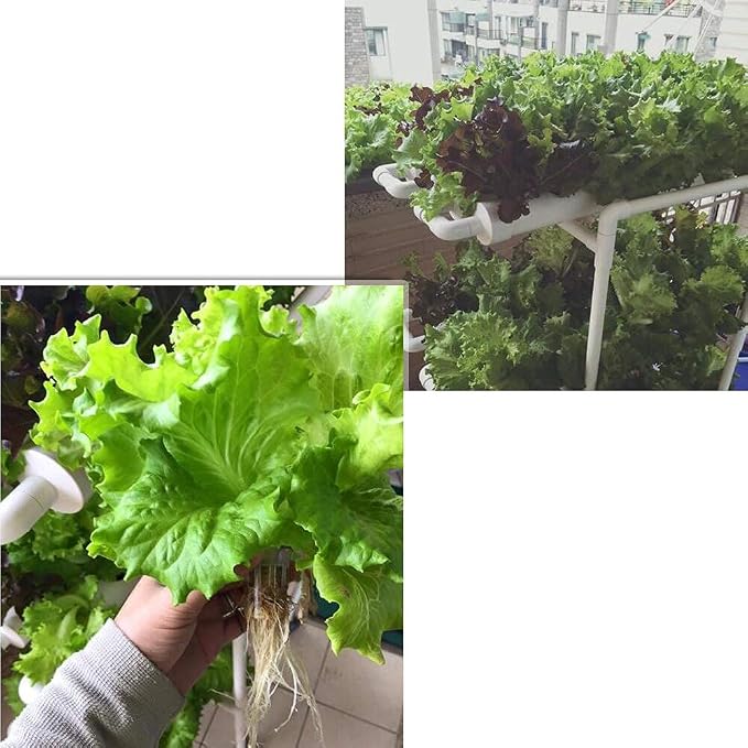 Hydroponic Growing System NFT with Timer Control, PVC Pipe 108 Planting Hole, Garden Water Culture Plant Salad Vegetable with Timer, Square Net Pot, Sponge