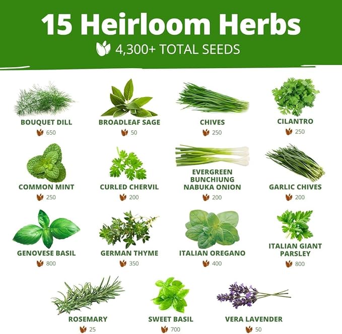 HOME GROWN 70 Variety Vegetable & Herb Seeds 30,600+ USA Non-GMO Heirloom Survival Seeds Garden Kit for Spring, Fall, Winter Indoor & Outdoor Planting Starter Set for Home Gardeners & Preppers
