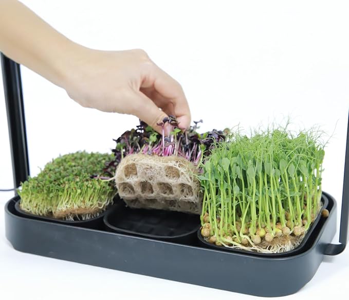 6-Pack Jute Grow Mats for Microgreens - Natural Biodegradable Hemp Mats for Seed Starter Tray & Sprouting Kit - Proprietary Water Level Hole Design for Micro Greens Trays (No Seeds)
