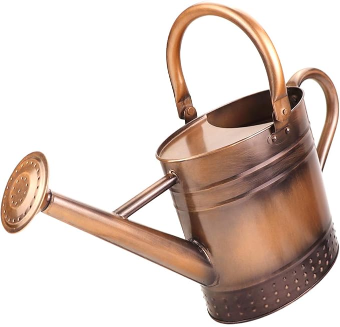 1 Gallon Metal Watering Can with Removable Spout, Nice Galvanized Steel Water Can with Embossed Design for Indoor and Outdoor Plants