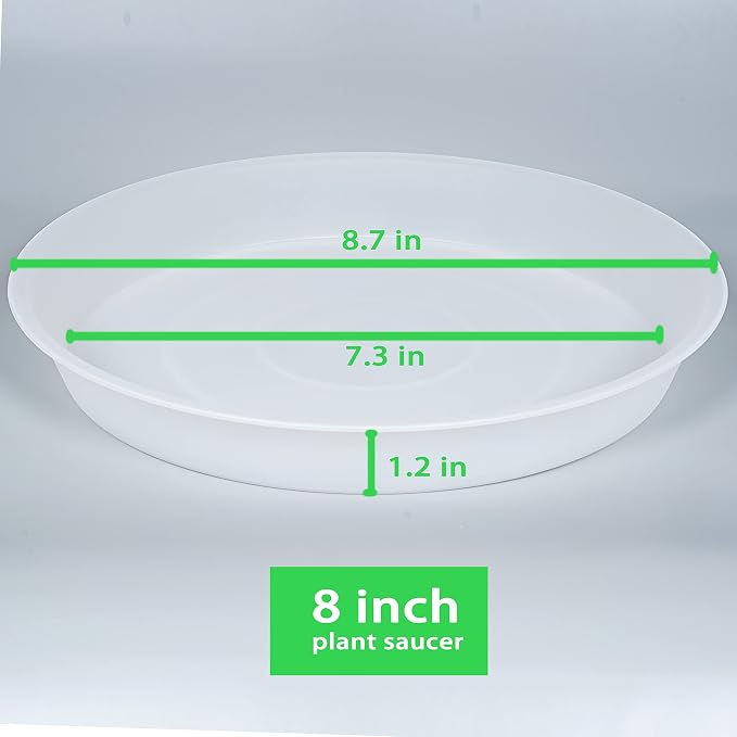 6 Pack of 8 inch Plant Saucer Clear, Heavy Duty Plastic Plant Water Tray 8 inch Round, Flower Plant Saucers for Indoors No Holes, Plant Dishes Saucer for Planter 7"/8" (8", Clear)