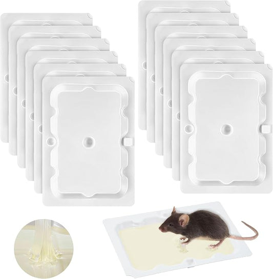 Qualirey 12 Pack Mouse Glue Traps 4.6x3.2 Inch, Pre-Baited Sticky Traps for Mice Rats Roaches Spiders, Heavy Duty Adhesive Glue Boards with Peanut Scent, No Touch Disposal, Indoor for Home (White)