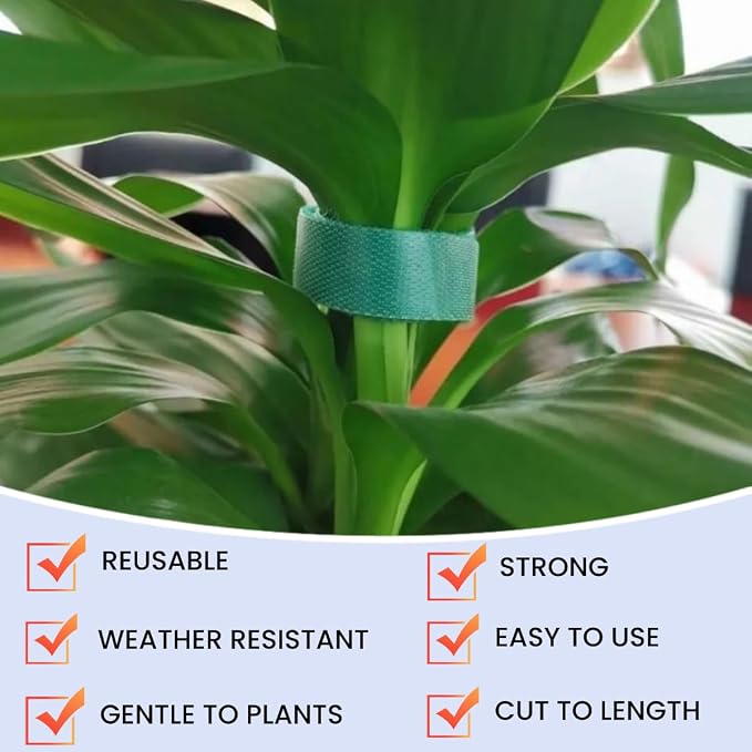 Plant Ties Hook and Loop Garden Tapes 1/2'' Wide Fabric Fastening Tape Double Sided Self Gripping Strap Reusable Adjustable Cable Ties Garden Vines Ties, Soft Plant Tie (1/2 Inch x 32 ft, Green)