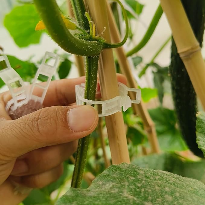 YUXIANG Plant Support Clips, 200 Pcs Tomato Clips, Plastic Trellis Clips, Grape Vine Tomato Vine Vegetables Plants Garden Support Clips to Grow Upright Makes Plants Healthier (200, White), 0618-1