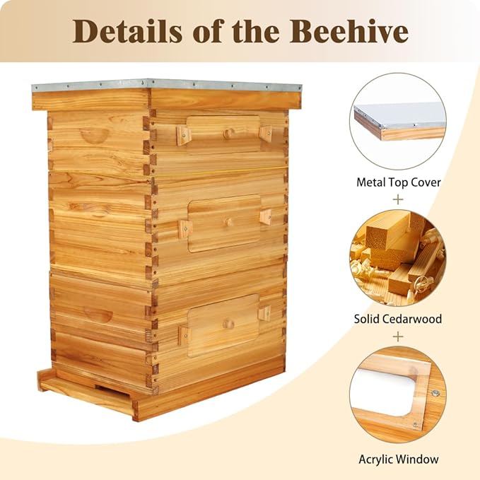 BeeCastle 10-Frame Langstroth Beehive with Windows, Beeswaxed Coated Bee Hive for Beginners with Beehive Frames and Waxed Foundations (2 Deep Bee Boxes & 1 Medium Super Bee Box)