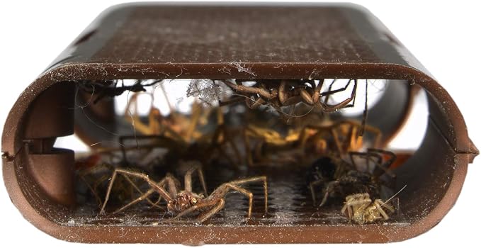 RESCUE! Spider Traps – Catches Brown Recluse, Hobo Spiders, Black Widows & Wolf Spiders - 4 Pack (12 Traps)